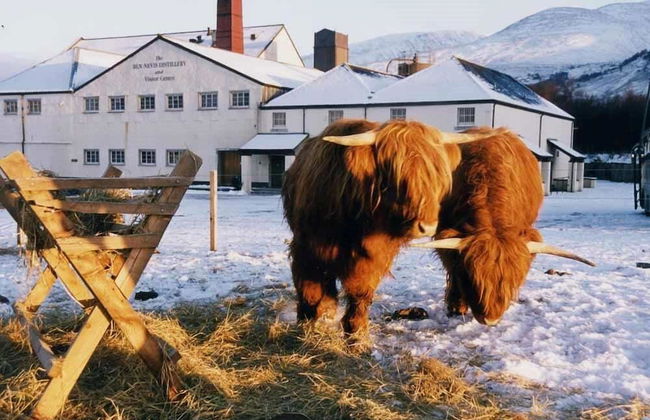 Toradh Cabin - Foto 44