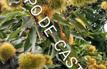 Casa Alpujarreña Fina Número 27 - Photo 9