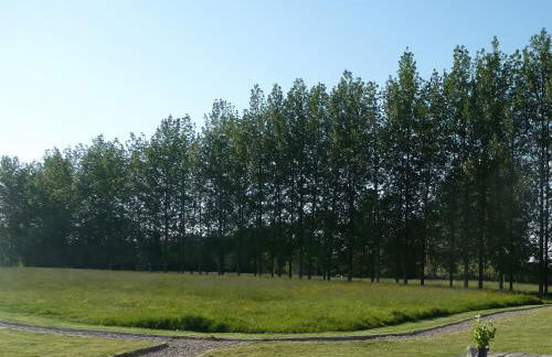 Pippin Lodge - Photo 16