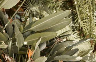 Apartamentos Isla del Sol - Photo 19