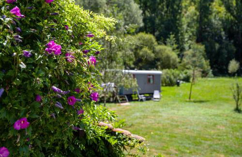 pipowagen Blagour midden in de natuur - Foto 21