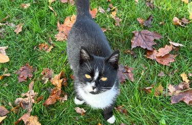 Tawerna Pod Kotwicą pokoje i domy wakacyjne - Foto 27