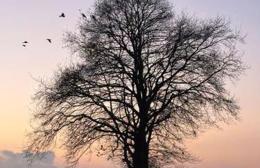 Q80 Appartement - Foto 48