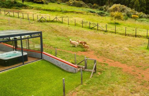 Florenças House - Private Jacuzzi & Garden - Foto 70