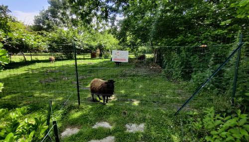 Maison Plein Sud St Lunaire Bretagne - Foto 4