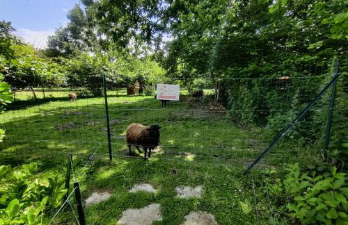 Maison Plein Sud St Lunaire Bretagne - Foto 4