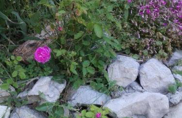 Apartment Marijan - Rtina - Foto 28