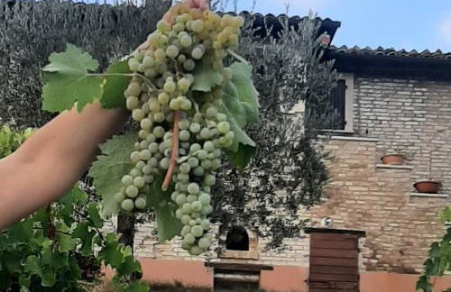 Agriturismo Magna Mater Agriculturae - Foto 31