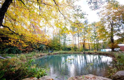 Beautiful Airstream Glamping Site for Romantic Weekends Away in North Carolina - Photo 24