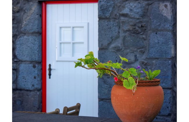 Casa do Zé - AL - Foto 64