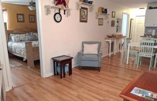 The Three Sisters - Pelican Crystal River FL - Foto 21