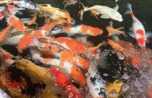 Khamy Riverside Resort - Photo 19