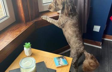 Room with a view - Foto 51