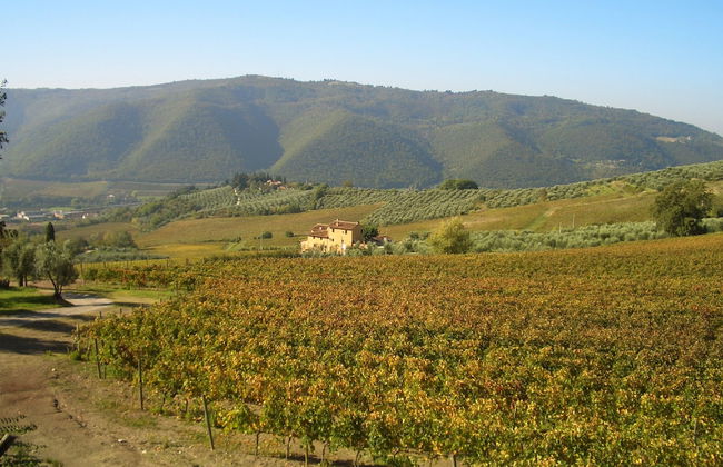 Agriturismo I Veroni - Foto 33