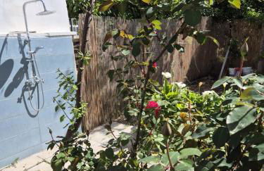 Villa Ingrosso - Foto 17