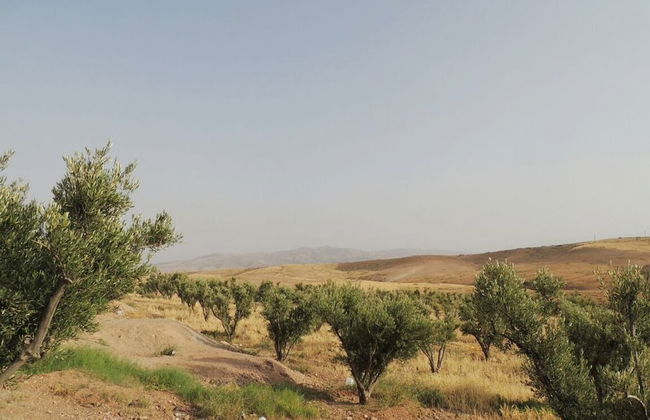 Dar Oumnass - Foto 16