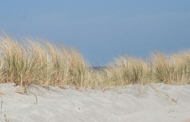 Steffenshagen Vicarage Retreat - Foto 33