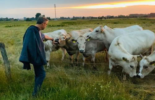 SommerLund - macht Laune auf Meer - Ruhige und sonnige Ferienwohnung mit Terrasse und Garten nahe Strand und Ostsee - Foto 47