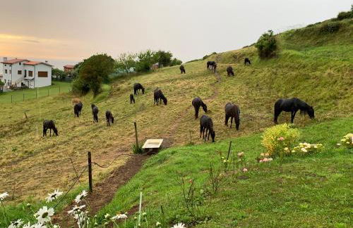 Casa Paloma - Foto 41