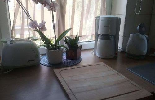 Kleine gemütliche Wohnung In Erfurt - Foto 3