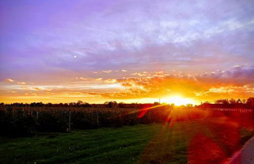 Apartment "Paris" - Photo 64