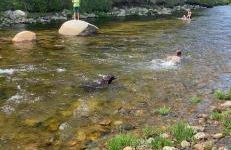 5R Cozy log chalet in fantastic location. Ski, snowshoe, fish, explore! AC, pet friendly! - Photo 52