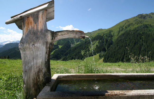 Simonhütte - Foto 20