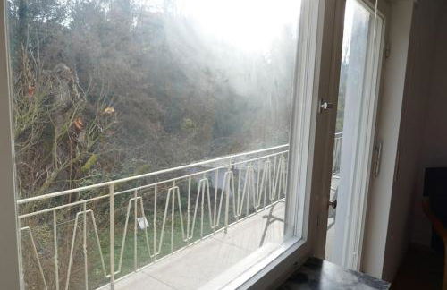 Ruhige 4-Zi-Wohnung mit großem Balkon und Blick ins Grüne - Foto 13