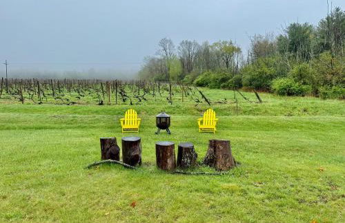 Purple Parrot - Foto 24