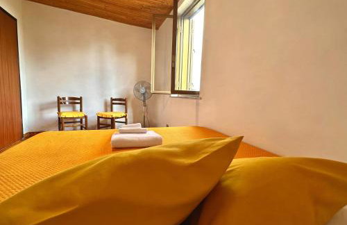 Il castagno - Foto 3