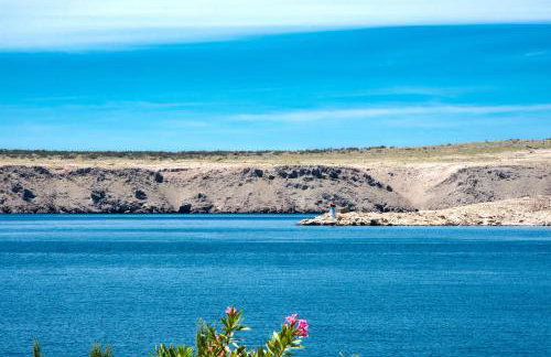 Apartmani Viktorija - Photo 14