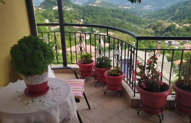 Dora's Home - Photo 1