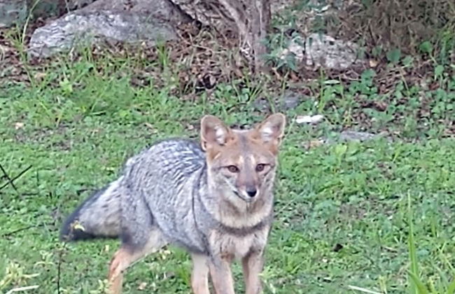 Cabañas El Aromo - Foto 12