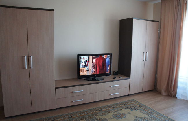 Hotel in Apartment Irkutsk - Photo 27