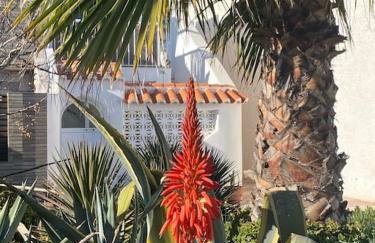 La Margarita Beach Apartment, Club Tropicana - Foto 25