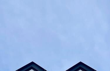 CALMFRANC ático abuhardillado con vistas al río y la montaña Avistamiento de ciervos en Canfranc Pueblo - Foto 40