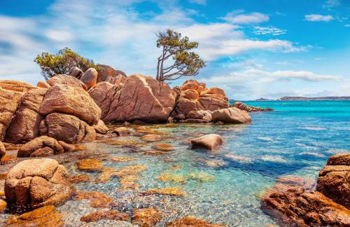 Sardinia Family Villas - Villa Carmen with sea view and pool - Foto 29