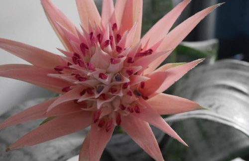 Thistle Suite city centre - Foto 32