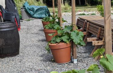 La petite Hugrie - Photo 12