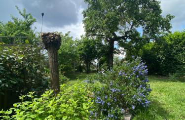 Maison avec jardin Orléans métropole - Photo 46