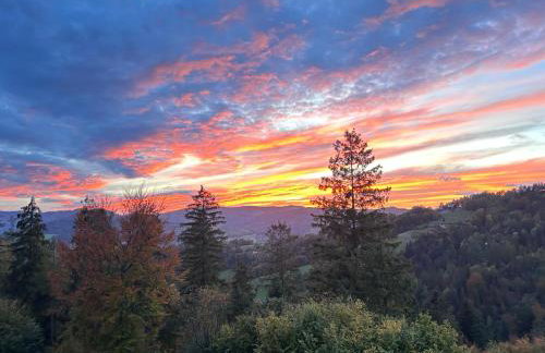 Domki Widokowe Wisła - Foto 10