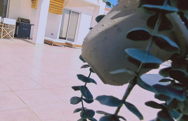 61 VOR - Sunny Palms - Foto 57