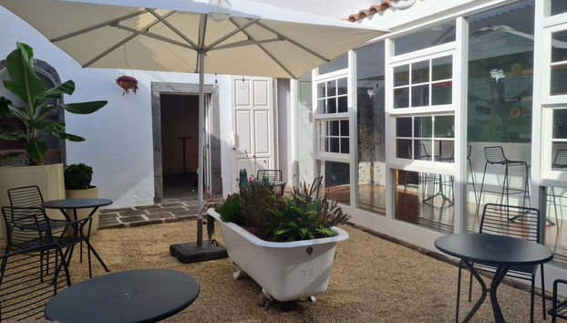 Banana World Guided Tour - Foto 5