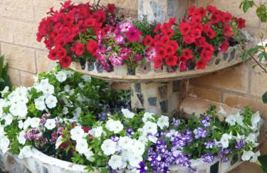 CASA TURÍSTICA Villa Carmen, CON AMPLIO JARDIN QUE INCLUYE BARBACOA, 2 PORCHES, PARKING PRIVADO Y PISCINA - Foto 50