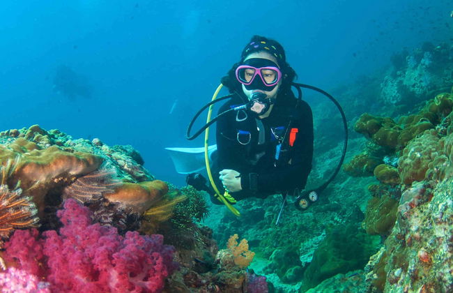 Mergulho em Koh Rang - Foto 1