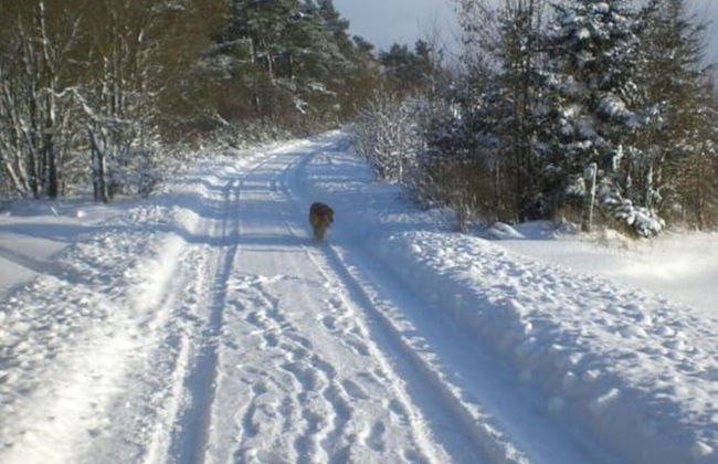 Vakantie in het Dorp - Photo 18