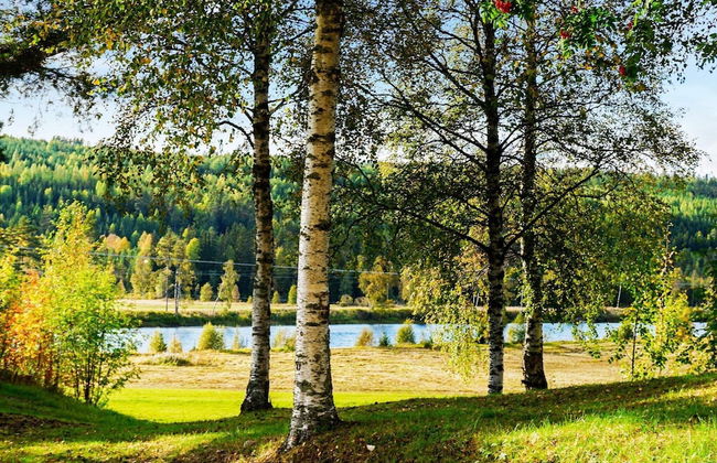 8 Person Holiday Home in Lima-by Traum - Foto 26