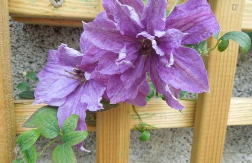 Chez Pauline, Gavray. House with secure parking, Wi-Fi & garage. - Foto 33