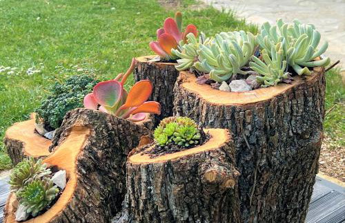 Holiday Home Casa Dei Farfui - Foto 23