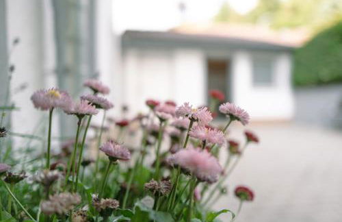 Bergschlösschen Edersee - Foto 76
